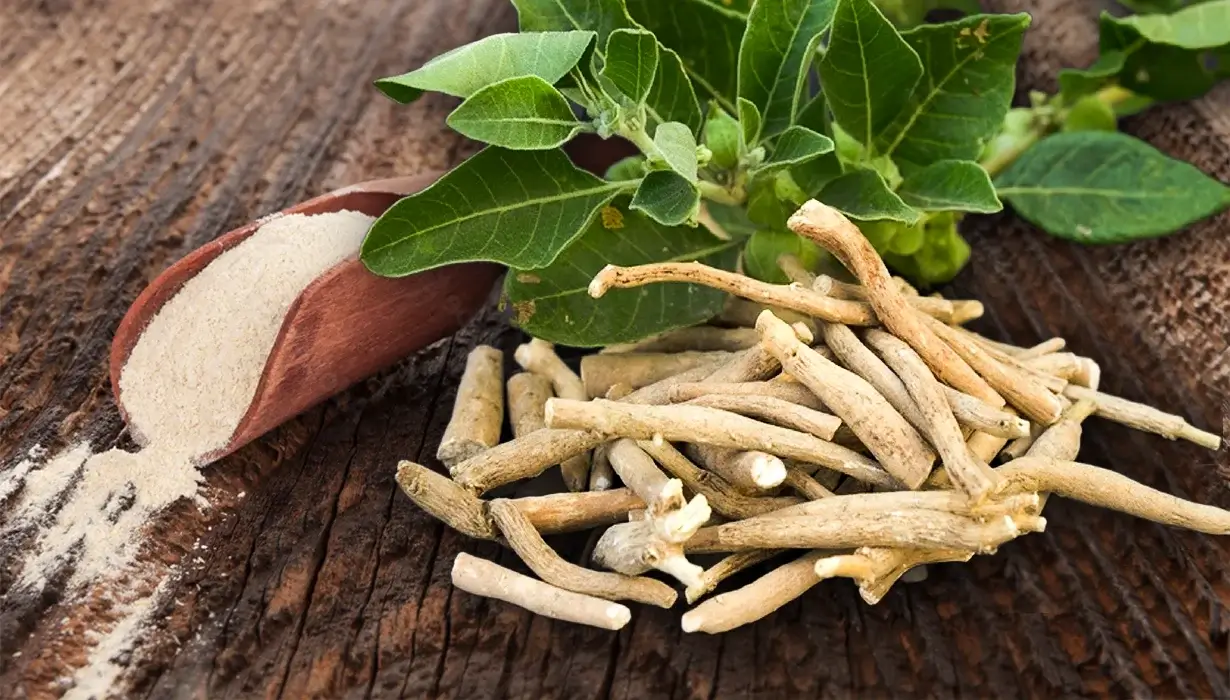Ashwagandha gummies